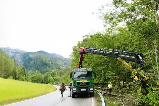 entfernen_von_schadbaeumen_im_bereich_eines_bachlaufes